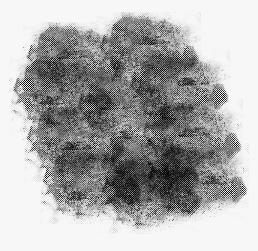 Lace Wig, HD Png Download