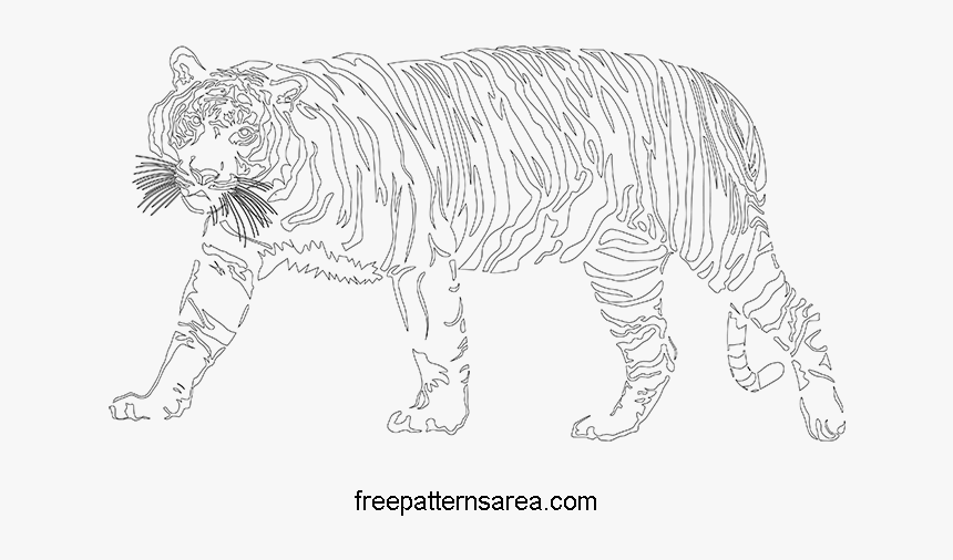 Clipart Tiger Pdf - Siberian Tiger, HD Png Download