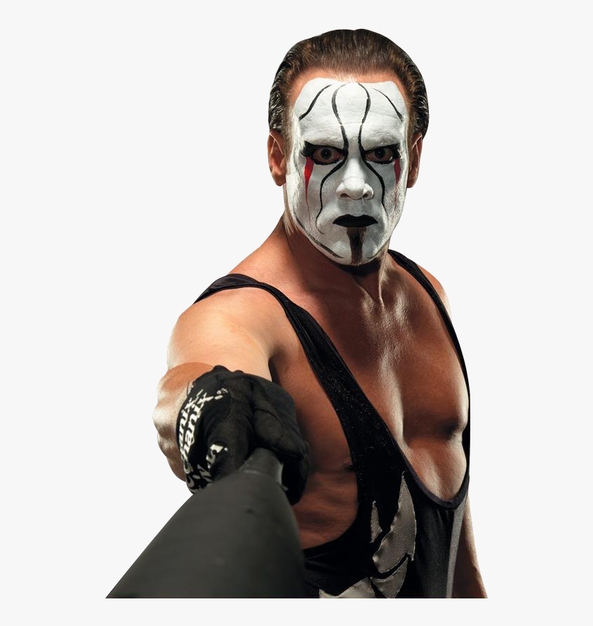 Wrestlers Clipart Wrestling Champion - Sting Wwe, HD Png Download