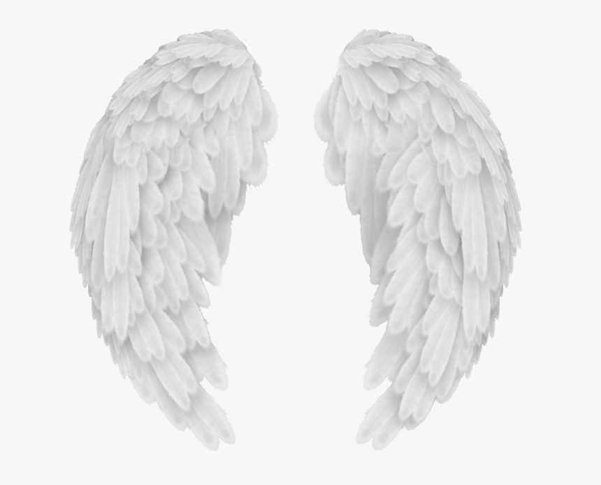 Angel Wings Png Baby Angel Wings Background - Transparent Background Angel Wings Png, Png Download