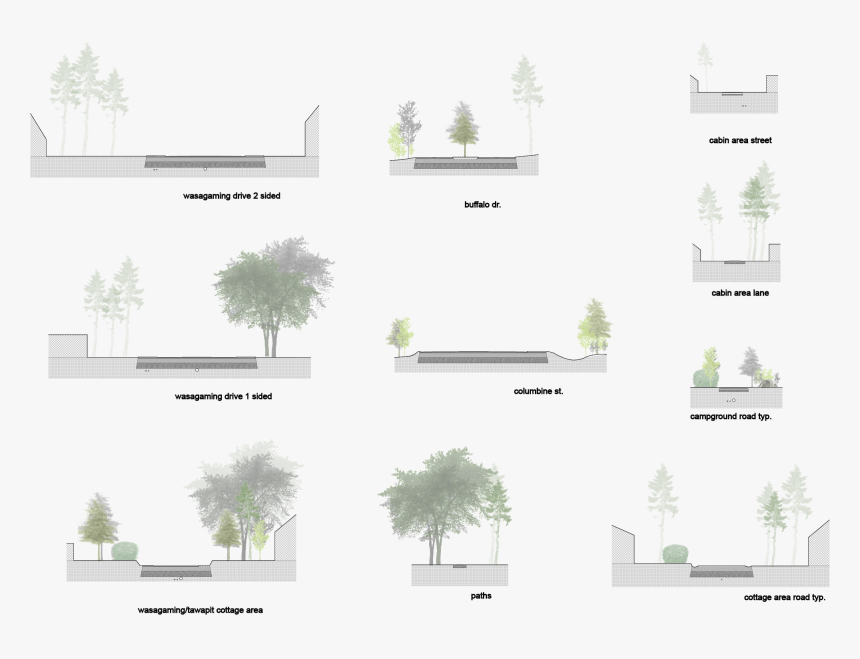 Tree, HD Png Download