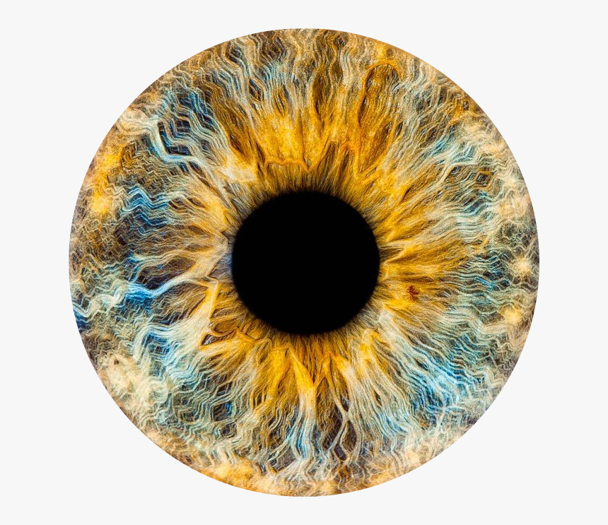 Transparent Brown Eye Png Eye Lens Png Hd Download, Png Download