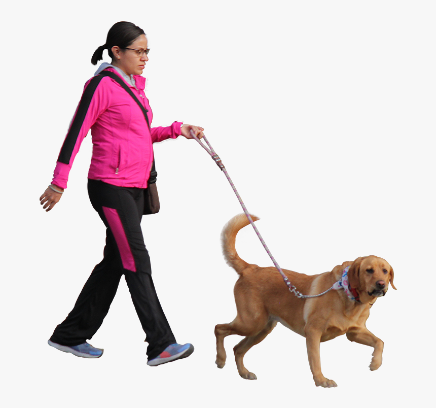 Transparent Walking Dog Png - Person Walking Dog Png, Png Download