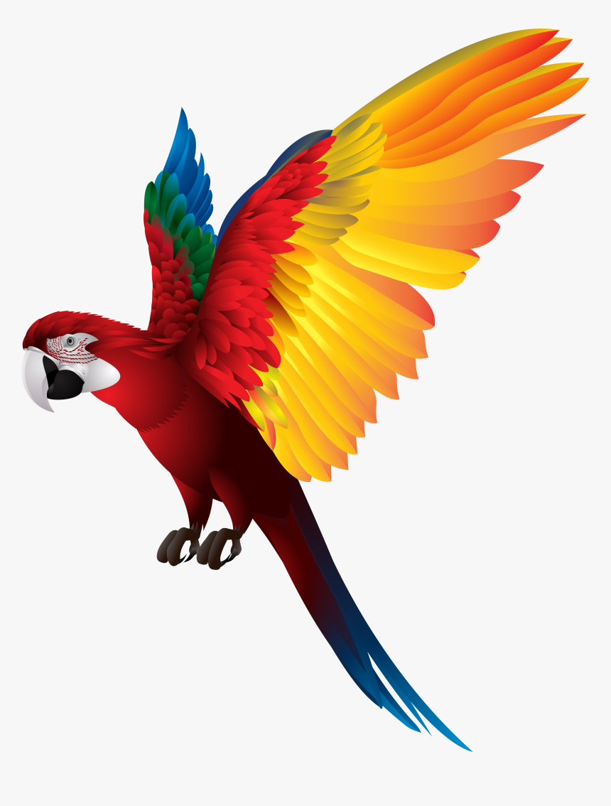 Largest Collection Of Free, HD Png Download