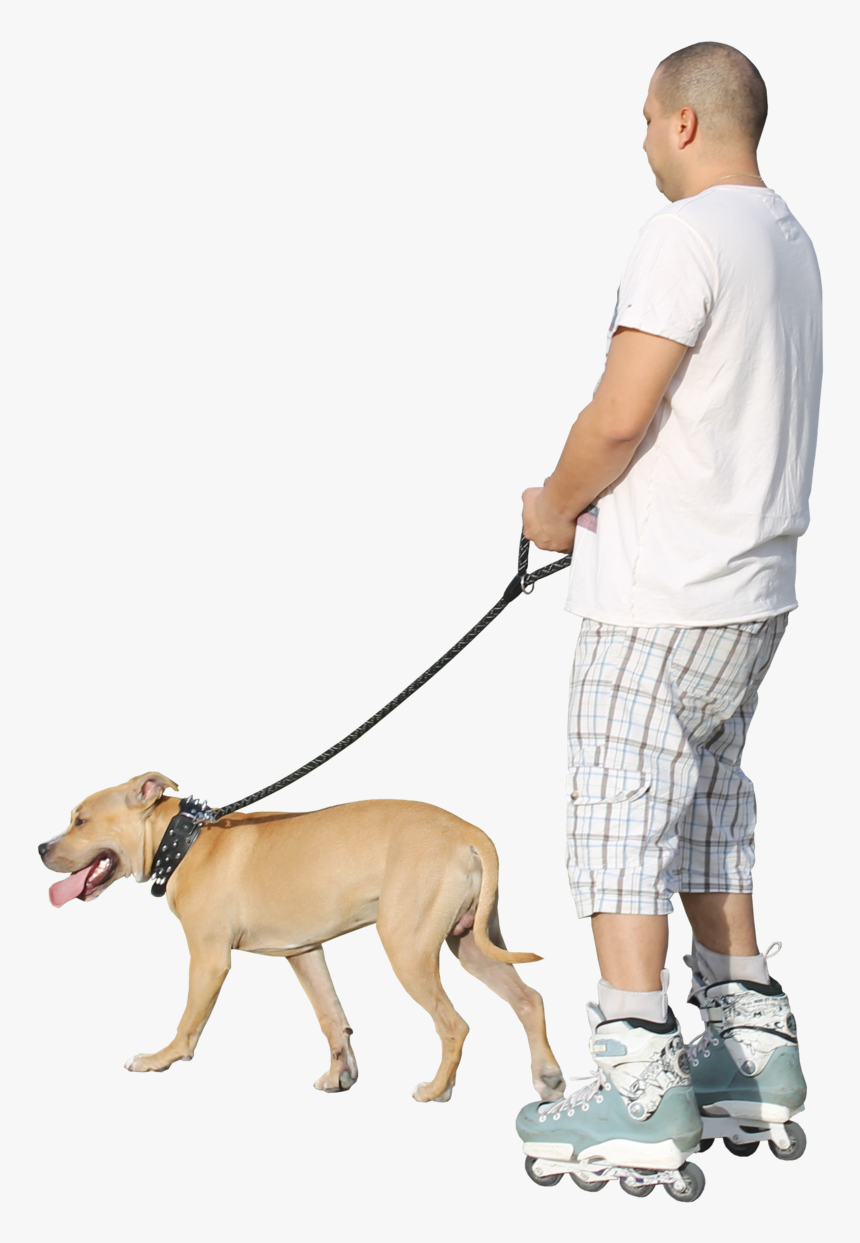 Companion Dog, HD Png Download