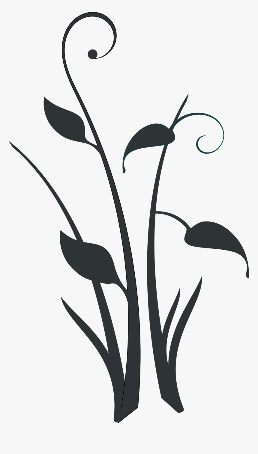 Decorative Form Clip Arts - Black And White Plant Clipart, HD Png Download