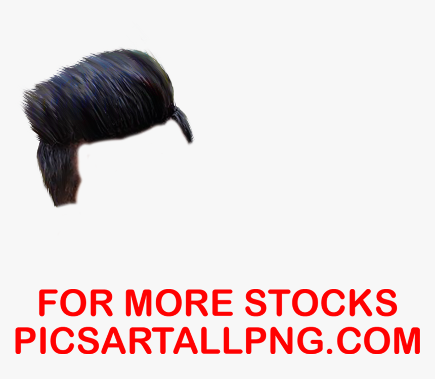 Hair Png Picsart Hd,hair Png,picsartallpng - Isopod, Transparent Png