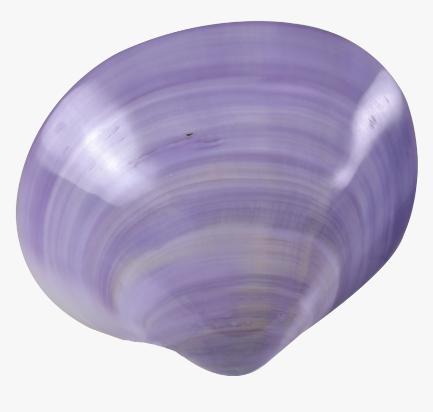 Transparent Purple Seashell Png - Purple Seashell Transparent, Png Download