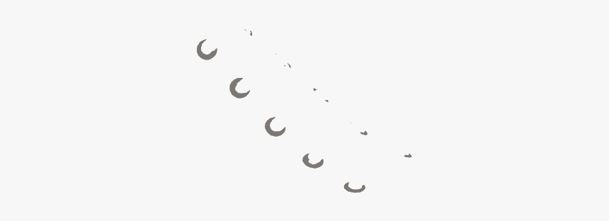 Circle, HD Png Download