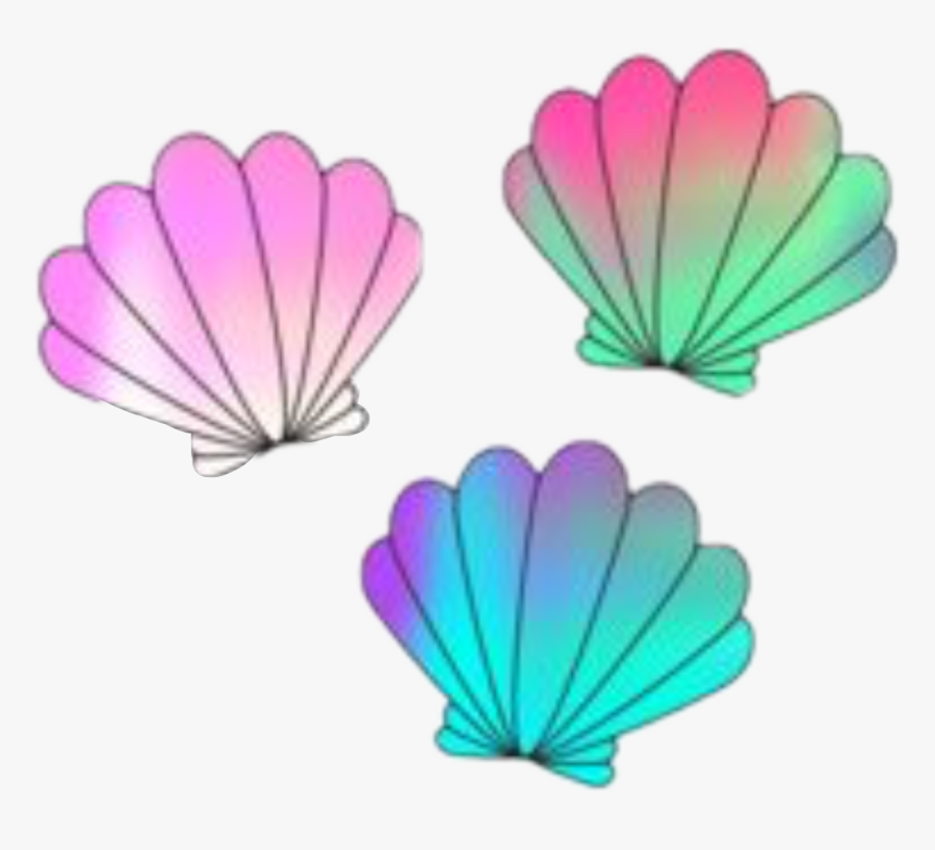 Seashells Cute Shell Art Interesting Beach Nature Party - Conchitas De Mar Dibujo, HD Png Download