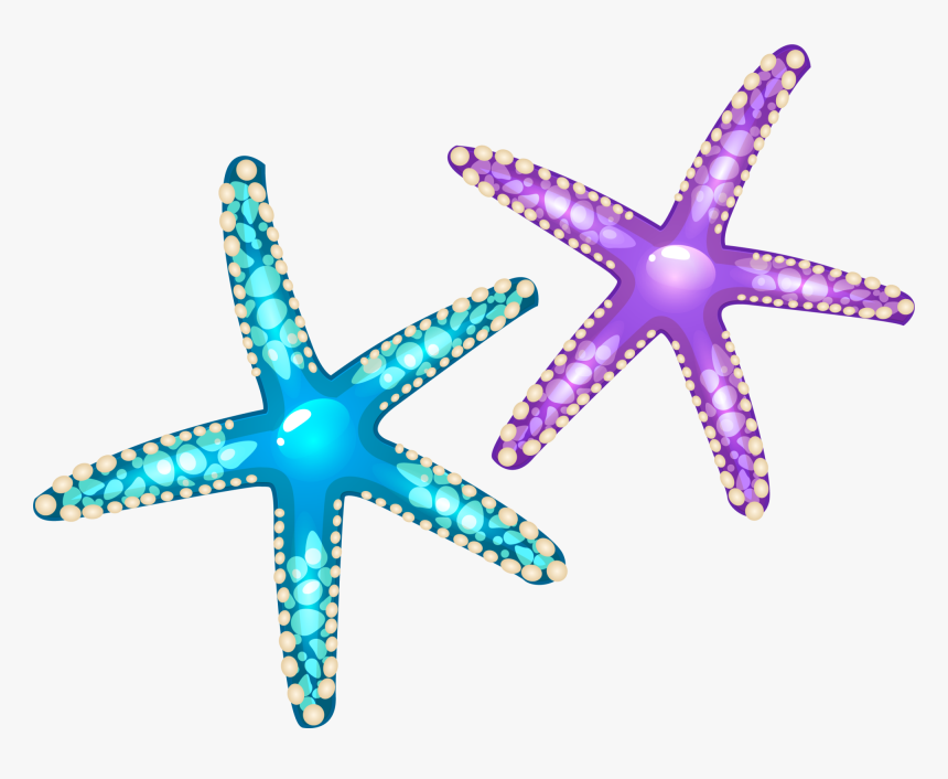 Starfish Euclidean Vector Seashell - Purple And Blue Starfish Png, Transparent Png