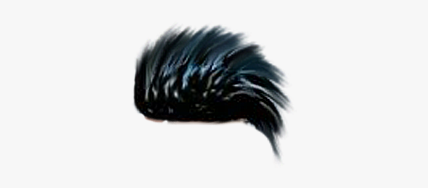 All Png For Picsart - Porcupine, Transparent Png