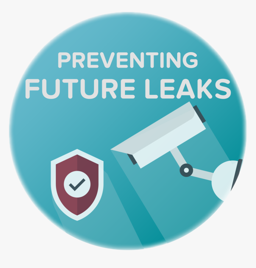 Preventing Dns Vpn Leaks - Circle, HD Png Download