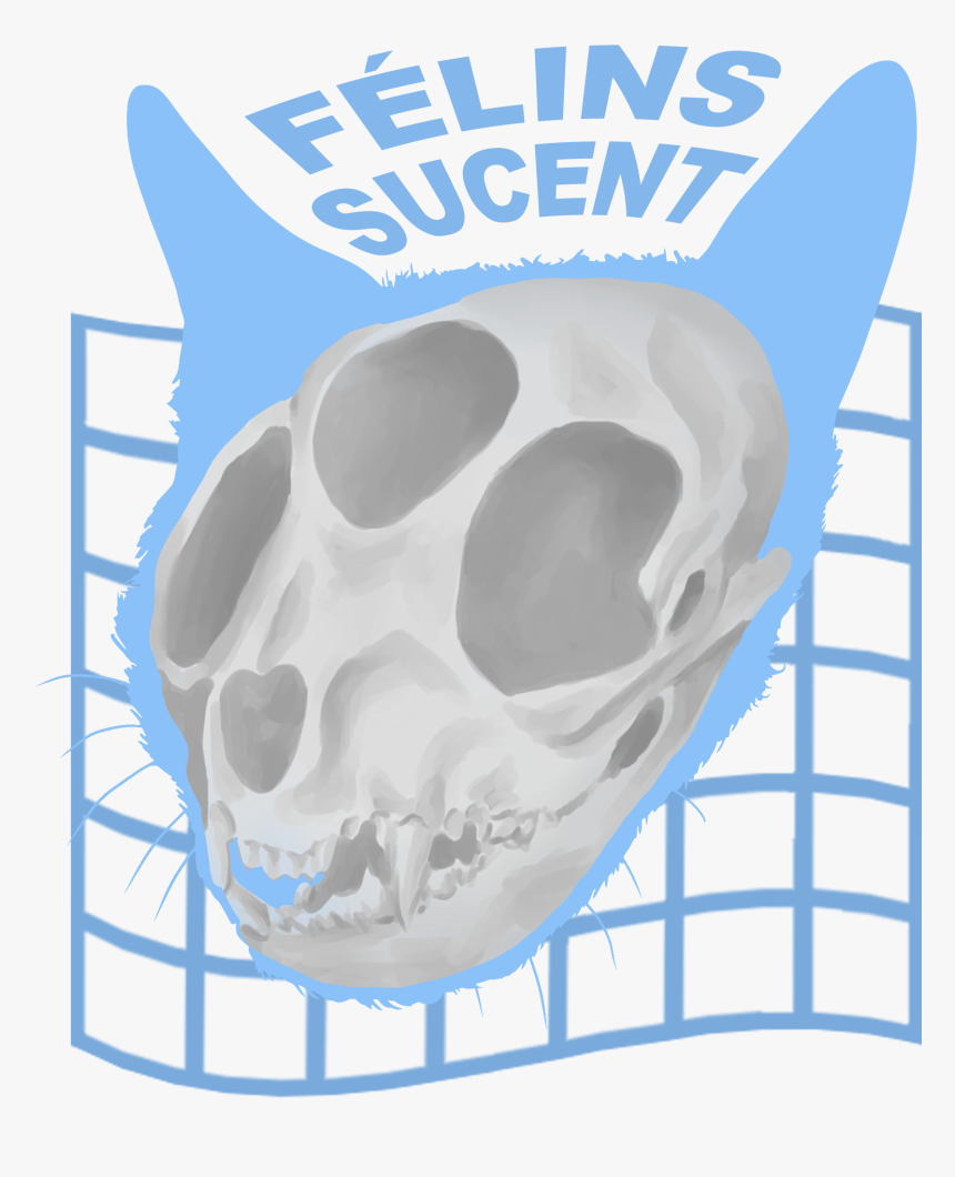 Skull, HD Png Download