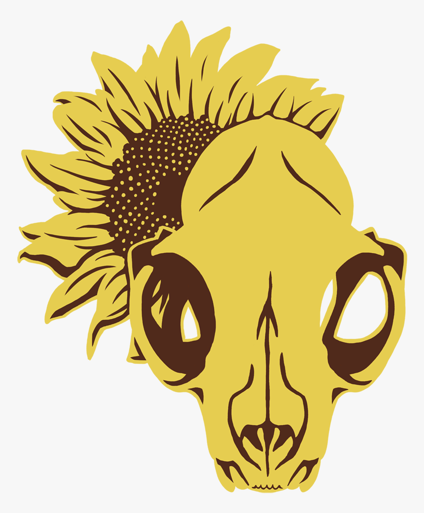 Sunflower, HD Png Download