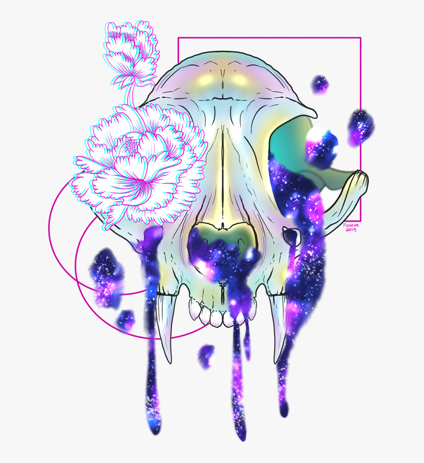 Cat Skull - Illustration, HD Png Download