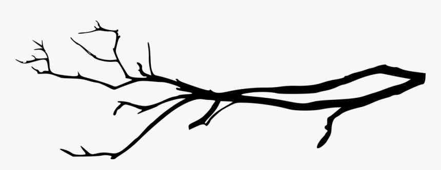 Tree Branch Silhouette Png, Transparent Png