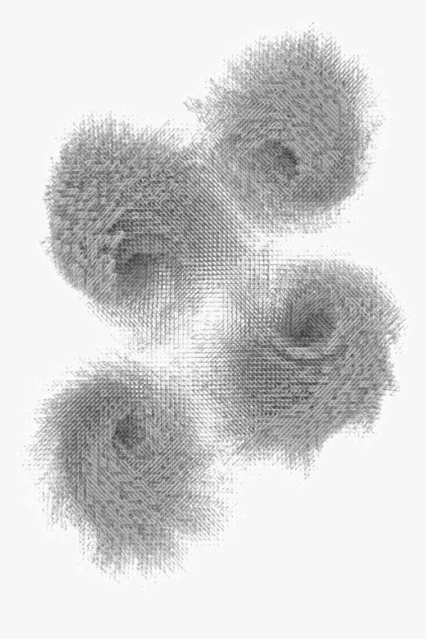 Cloud - Miniature Poodle, HD Png Download