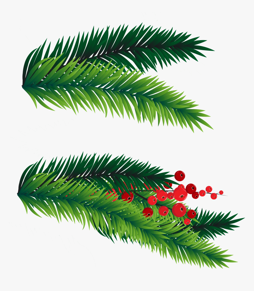 28 Collection Of Christmas Tree Branches Clipart - Christmas Tree Branch Png, Transparent Png