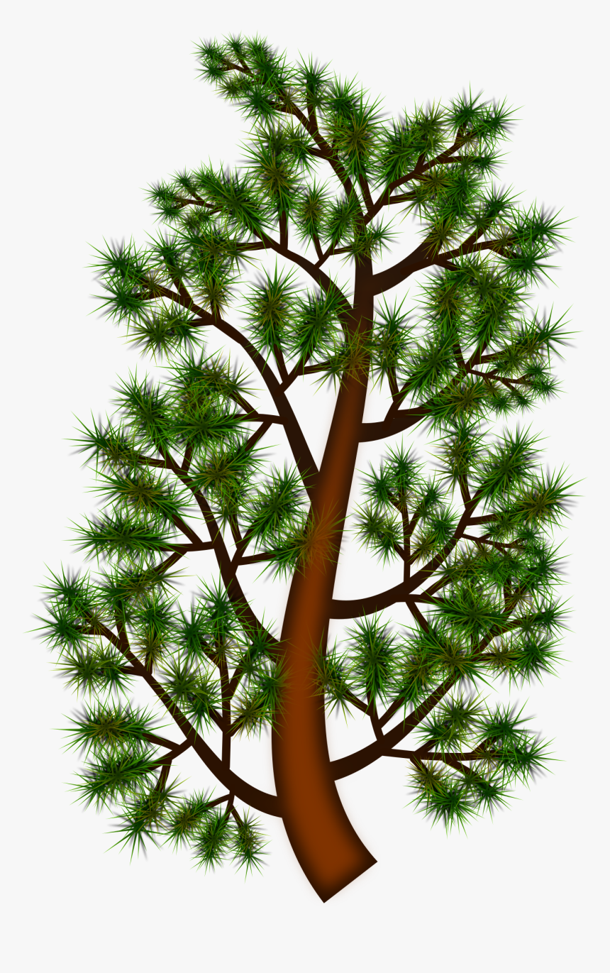 Clip Art Pine Tree Branch - Clip Art, HD Png Download