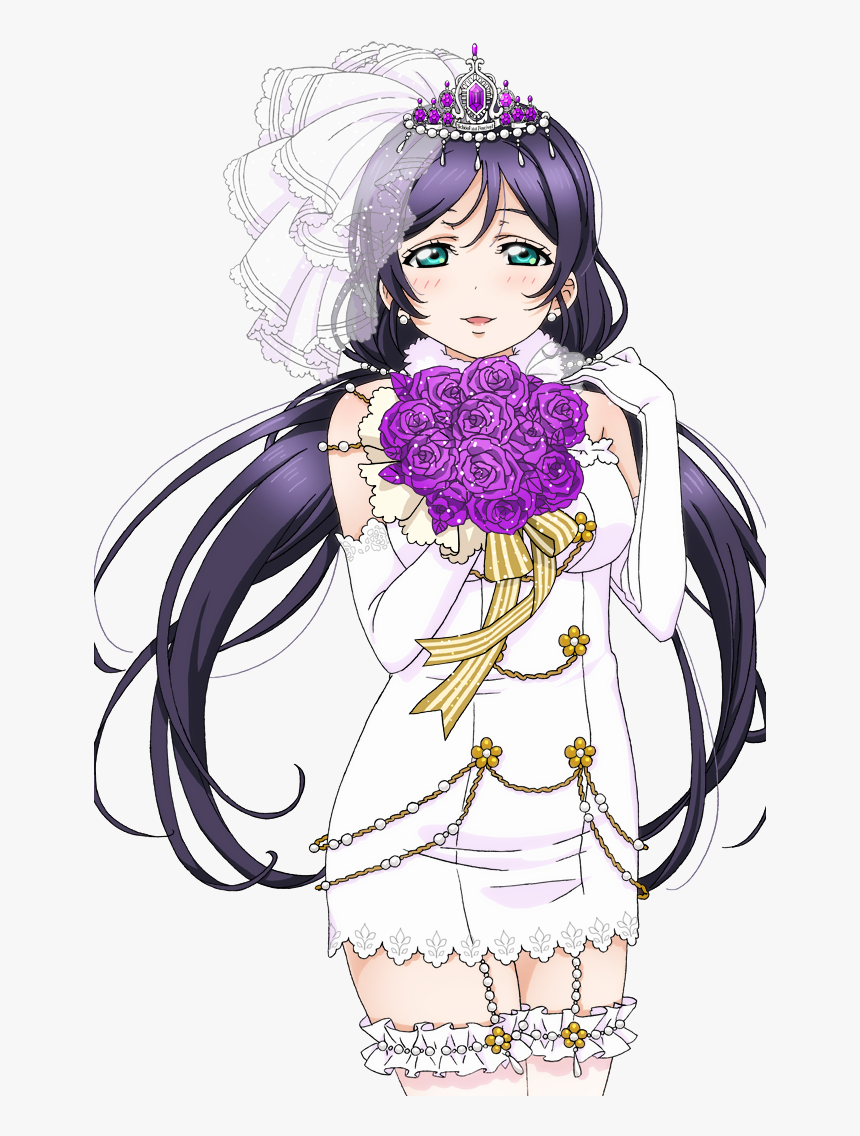 Sifac Transparents, HD Png Download