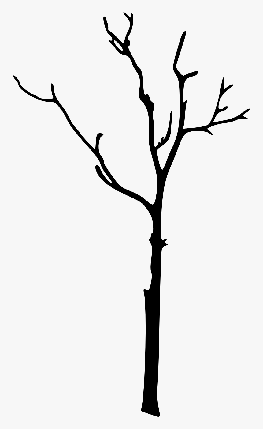 Silhouette Twig Clip Art - Silhouette Tree Branch Clipart, HD Png Download