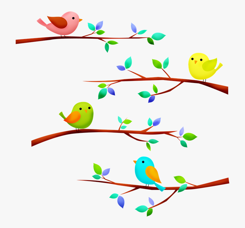Birds On Tree Branch, Birds, Tree Branch, Animal - Vögel Auf Ast Clipart, HD Png Download