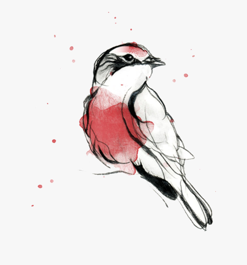 Pajaro Png , Png Download - Sketch, Transparent Png