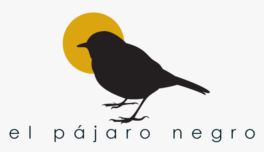 Robin, HD Png Download