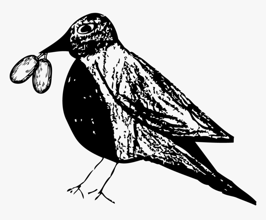 Pajarote Ponche De Tamarindo, HD Png Download