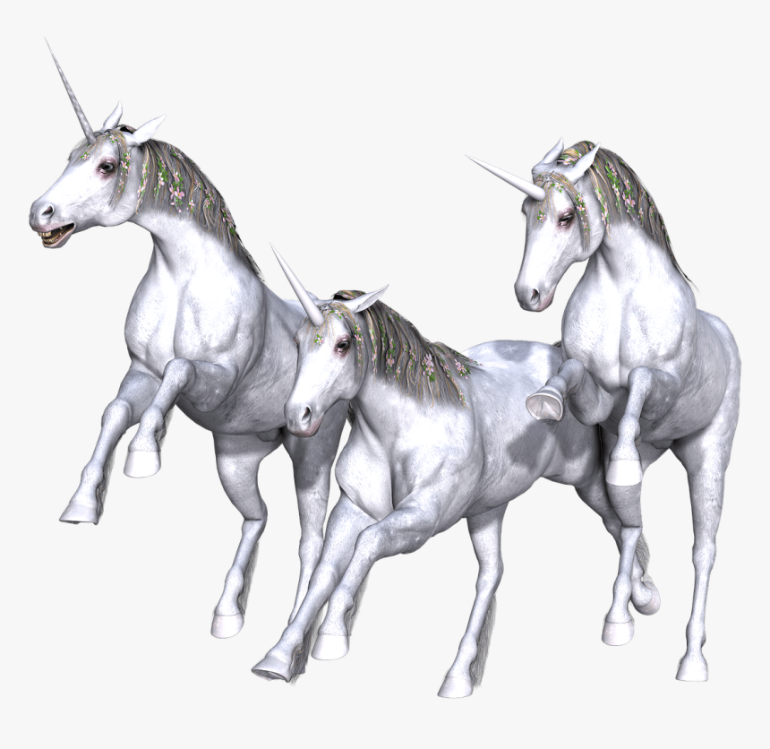 Unicorn, Fantasy, Fairy, Tale, White, Mythology, Horned - Transparent Background Fantasy Png, Png Download