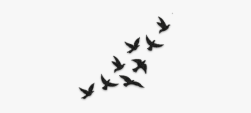Flying Silhouette Birds Drawing, HD Png Download