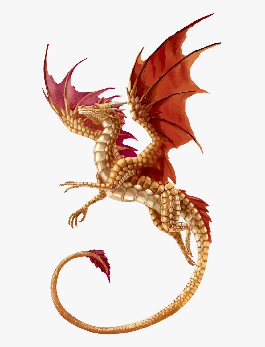 T-shirt Dragon Fantasy - Transparent Background Transparent Dragon, HD Png Download