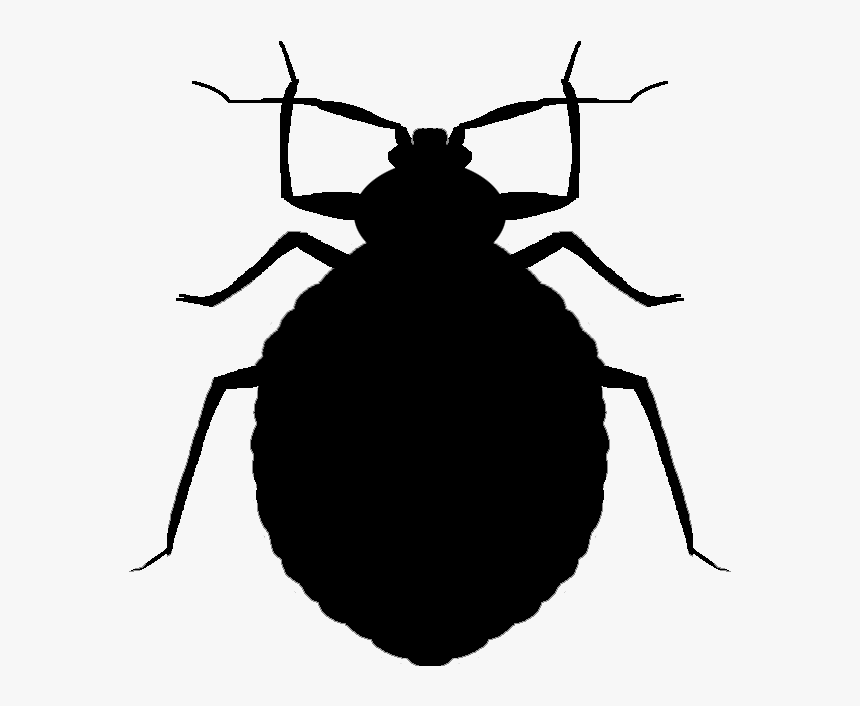 Bugs Silhouette At Getdrawings Bed Bug Vector Png Transparent