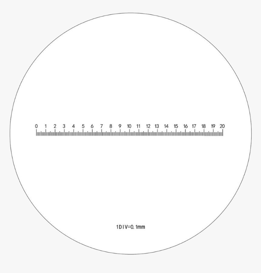 Uvic Graduate Students Society, HD Png Download