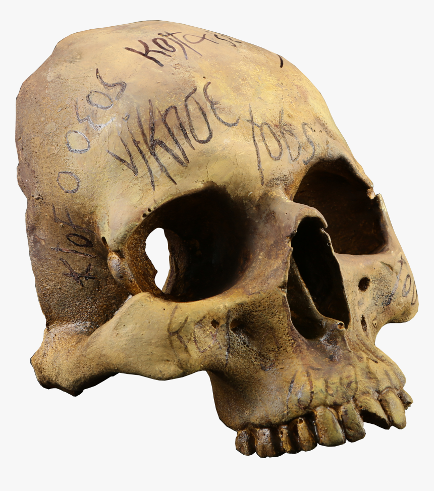 #pennydreadful #auction #halloween #spooky #horror - Skull, HD Png Download