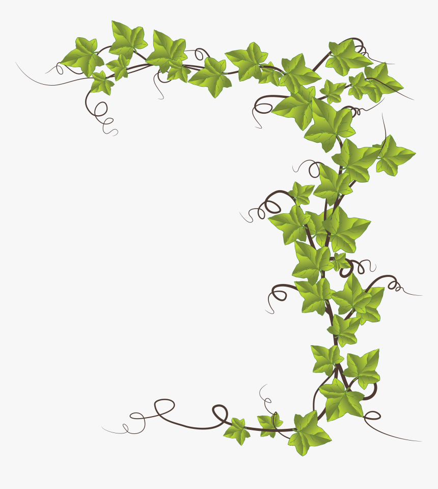 Ivy Vine Silhouette, HD Png Download