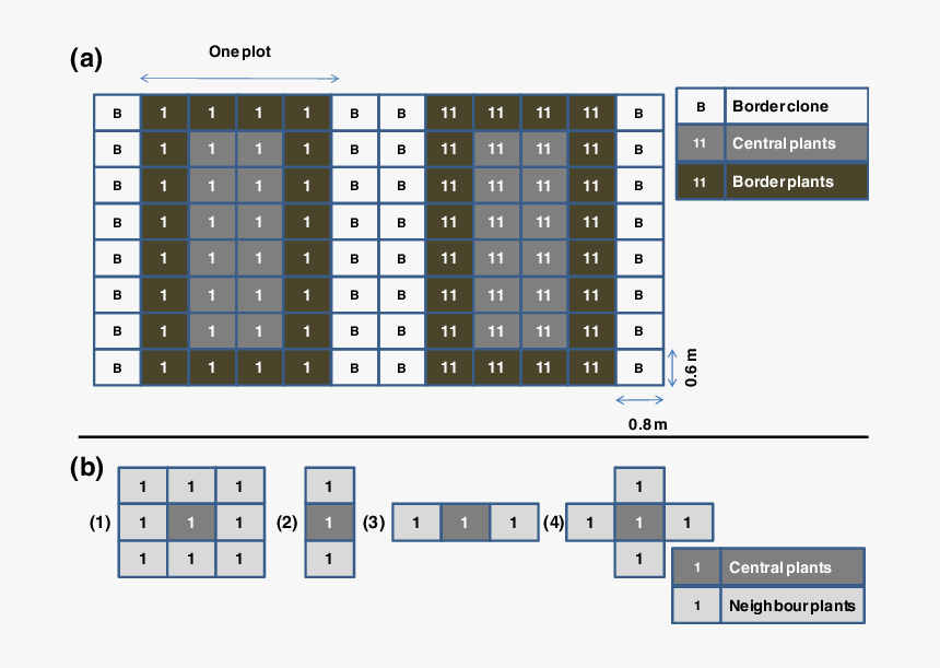 يوسف الثنيان, HD Png Download