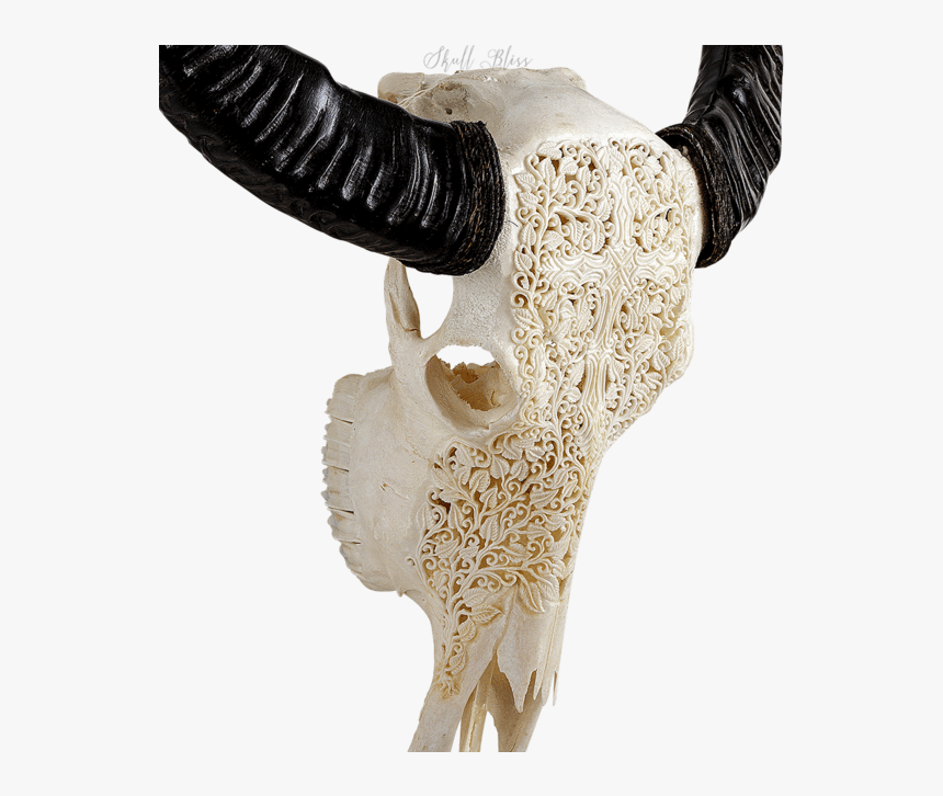 Carved Buffalo Skull - Horn, HD Png Download