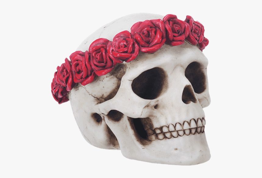 Skull With Flower Crown, HD Png Download