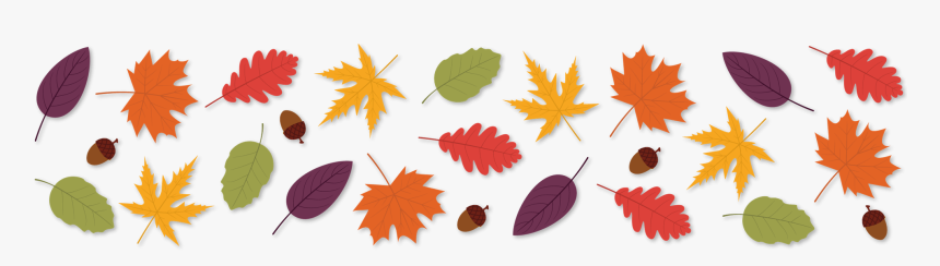 Horizontal Image Of Leaves, HD Png Download