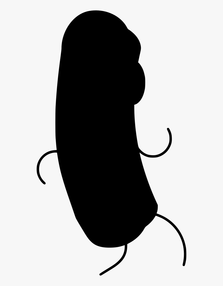 Food, HD Png Download