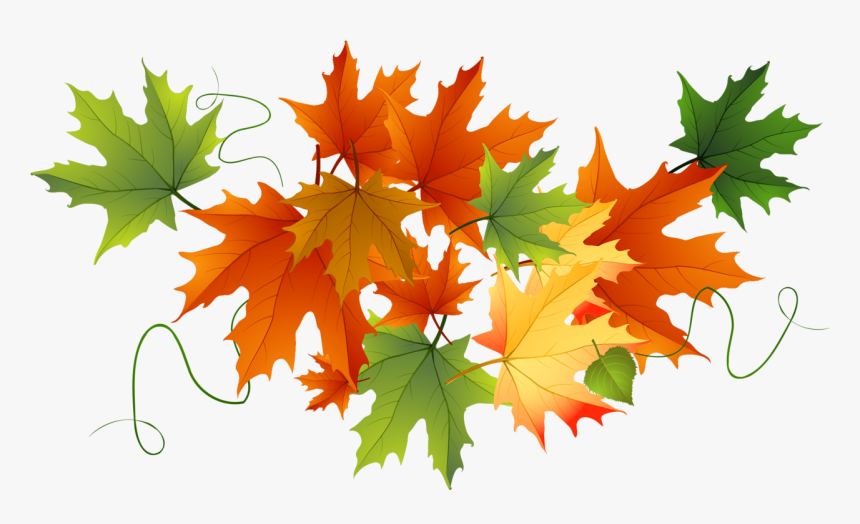 Falling Leaves Transparent Png - Transparent Background Fall Leaves Clipart, Png Download