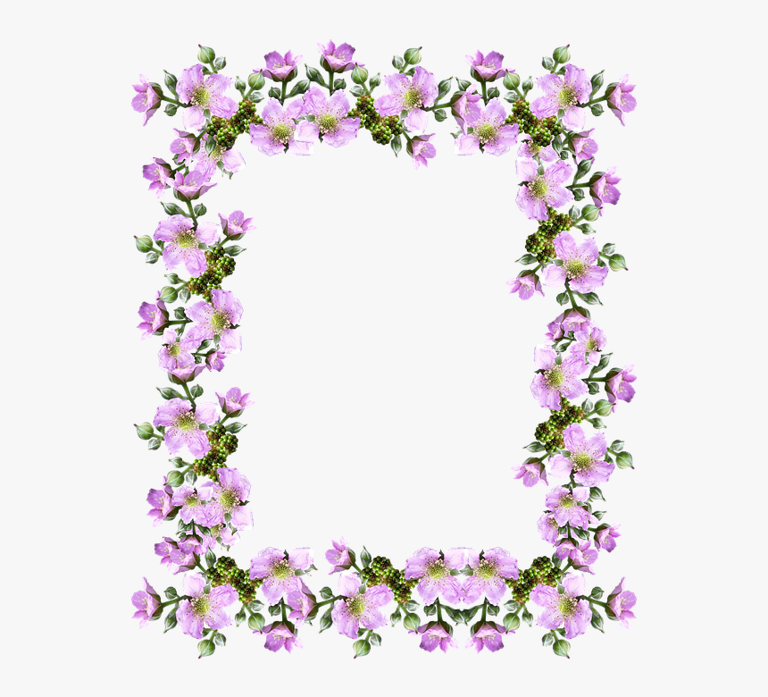 Frame, Border, Pink, Blackberry, Blossom - Bebe Felicitări, HD Png Download