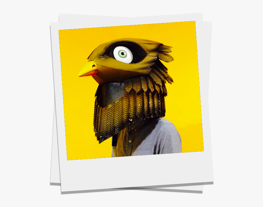 Hornbill, HD Png Download