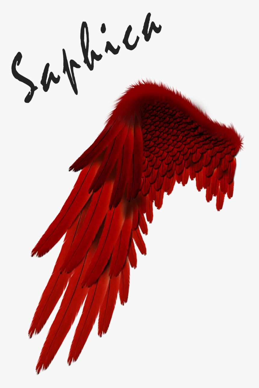 Free Download Devil Clipart Devil Angel Demon, HD Png Download