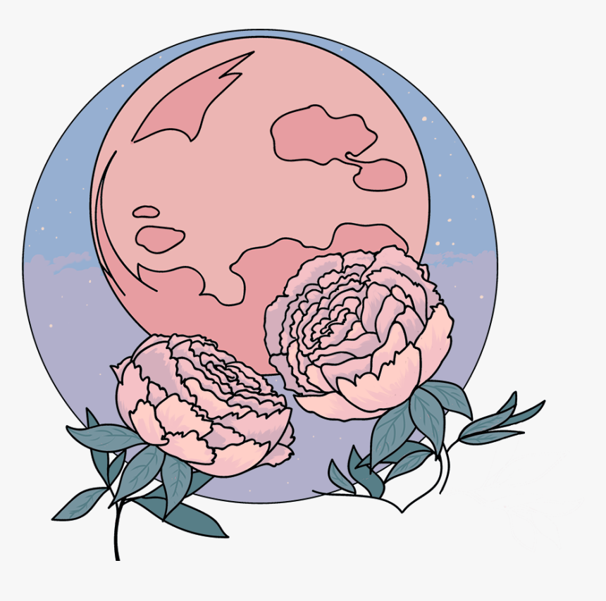 Garden Roses, HD Png Download