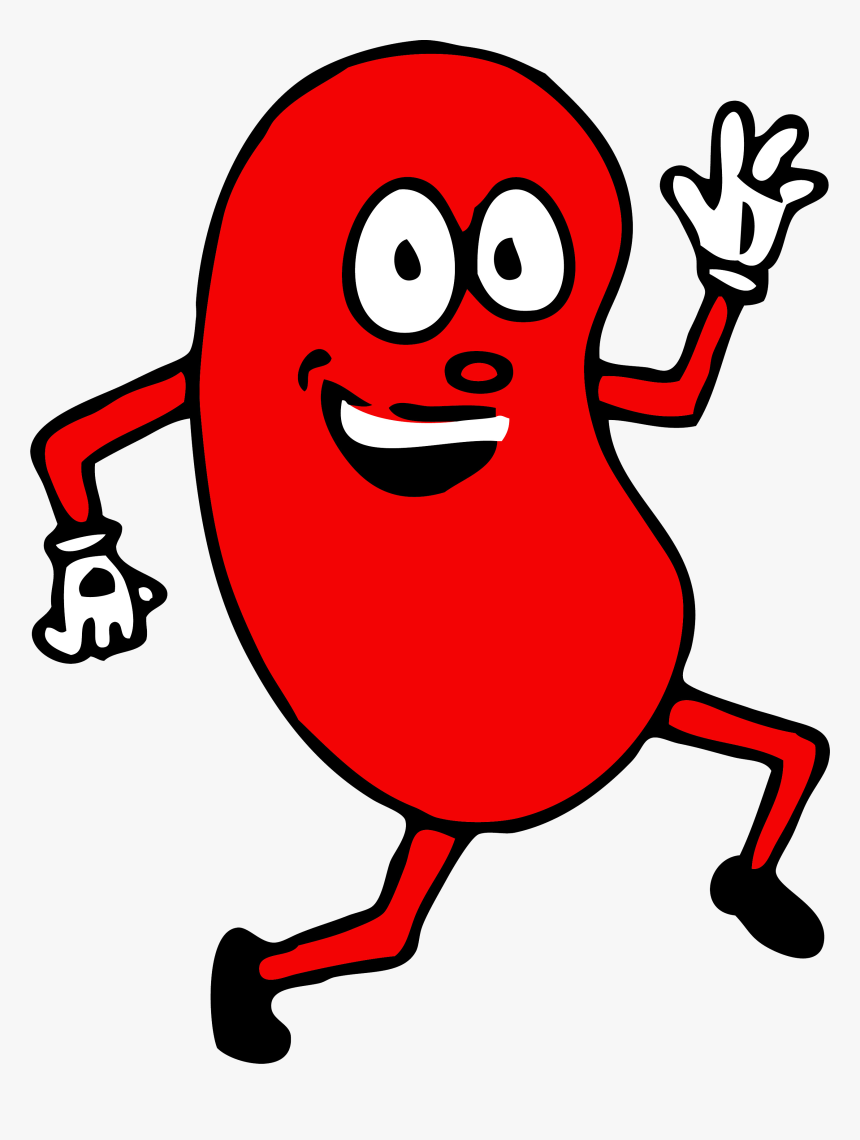 Happy Clipart Kidney - Cool Kidney, HD Png Download
