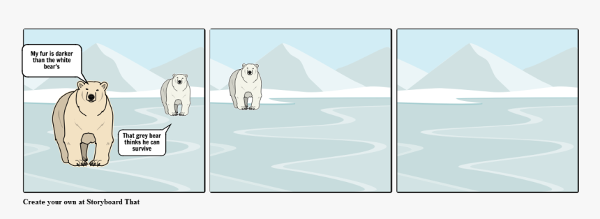 Polar Bear, HD Png Download