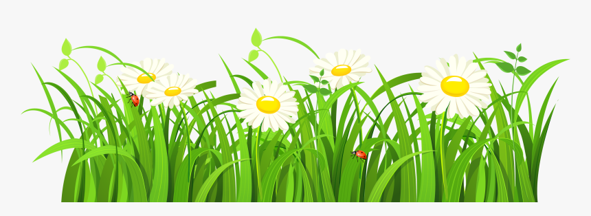 Green Grass Vector Png, Transparent Png